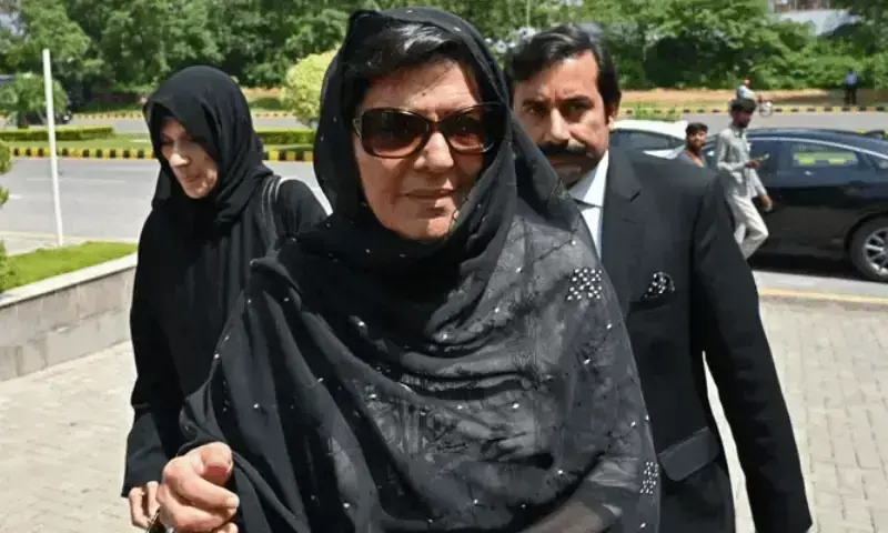 Aleema provided basic facilities, essential items in jail, Punjab govt tells LHC