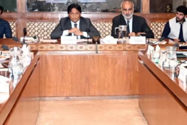 Senate panel seeks halt to Discos privatisation, says matter must go to Council of Common Interests