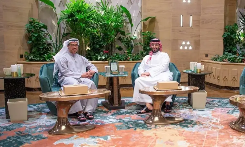 Saudi crown prince, UAE vice president meet in Riyadh: report