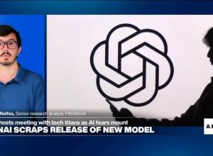Safeguards 'build a moat' around US AI firms, prevent open-source models from advancing, expert says