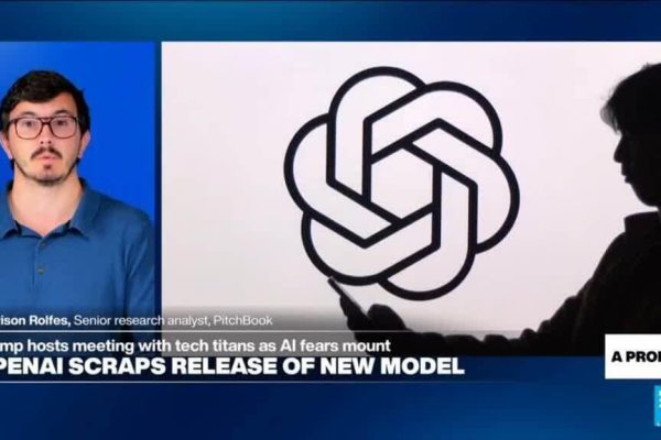 Safeguards 'build a moat' around US AI firms, prevent open-source models from advancing, expert says