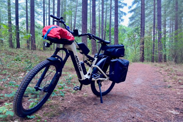 Can ‘eSUV’ e-bikes really go from trail to town?