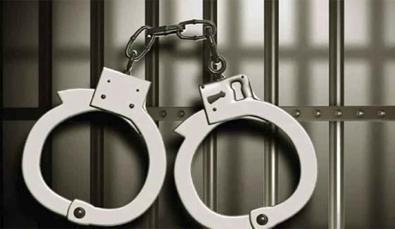 لاہور: پی ٹی آئی دھرنے کیلئے جتھہ تیار کرنے کے الزام میں ایک شخص گرفتار، خاتون سمیت 2 افراد پر بغاوت کا مقدمہ