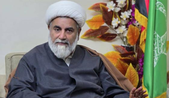 لانگ مارچ کا فیصلہ پی ٹی آئی کا، ہمیں صرف آگاہ کیا گیا، علامہ راجا ناصر عباس