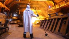 Ukraine's prized steel industry left in ruins by Russian missile campaign