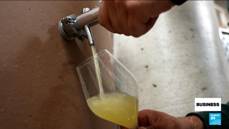 Record heat and drought make this year's champagne stronger