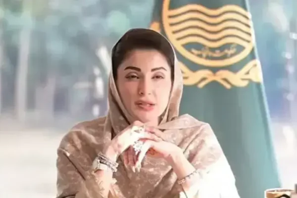 Govts should be allowed to complete their terms: CM Maryam