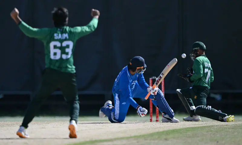 India-Pakistan blockbuster brings cricket fever to Japan baseball field