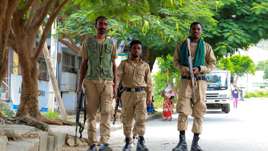 Ethiopia back to civil war? Horn of Africa fears spillover effect of renewed fighting