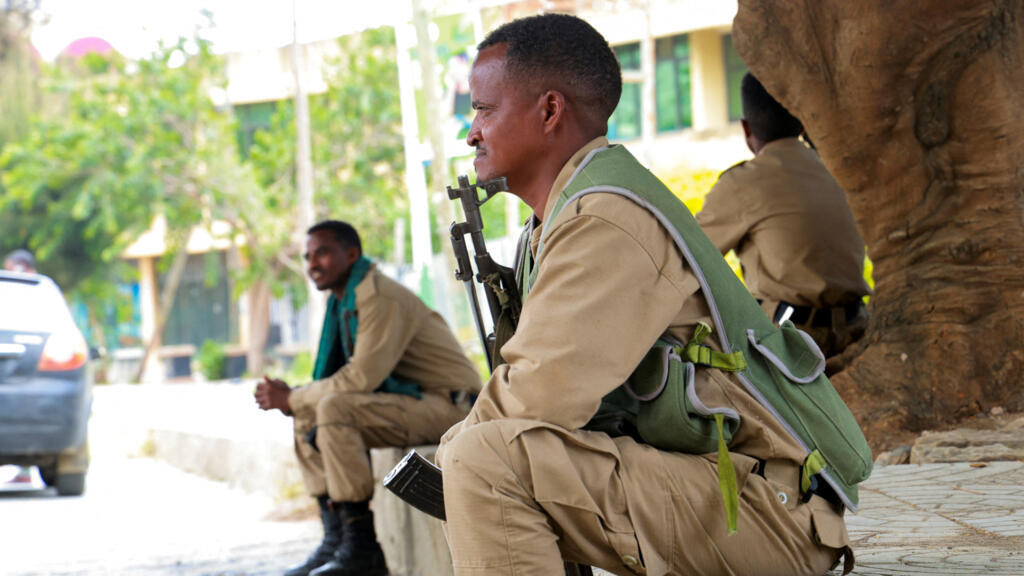 Ethiopia's Tigray rebels abandon regional capital of Mekelle as pro-government forces advance