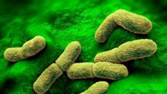 US 'watching closely' after plague researcher dies in Russia, Rubio says