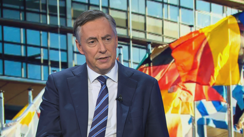 'We have to close defence gaps urgently': EU Parliament Foreign Affairs Committee chief McAllister