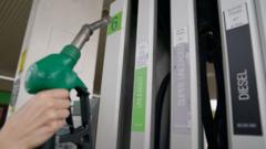 Fuel prices leave people asking 'what can we do?'